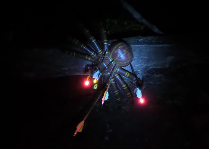 Die Spinne - beleuchtet mit Taschenlampe ...