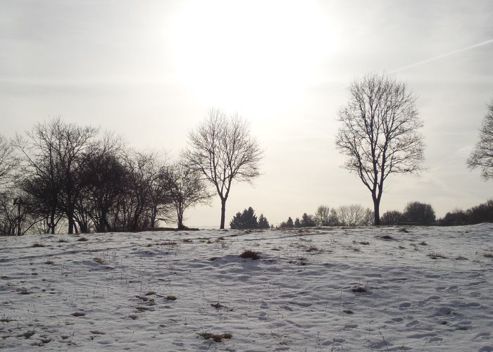 Herrliches Winterwetter: Nicht zu kalt, trocken und mit Sonnenschein